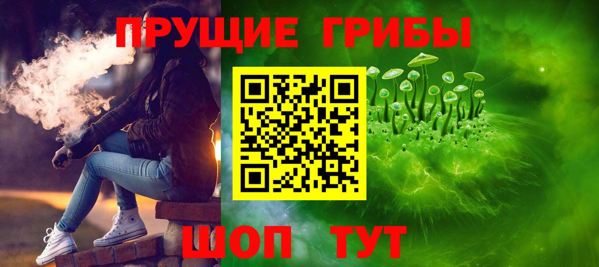 Тимашёвск  Псилоцибиновые грибы ЛСД  Вход с VPN 